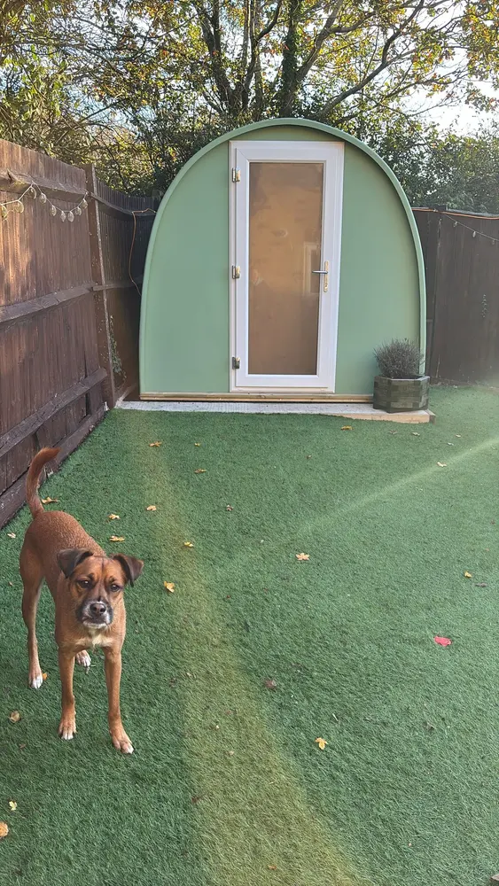 Deb's Dory Pod at the end of her garden with her dog on the lawn