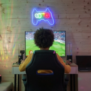 gaming room in the garden