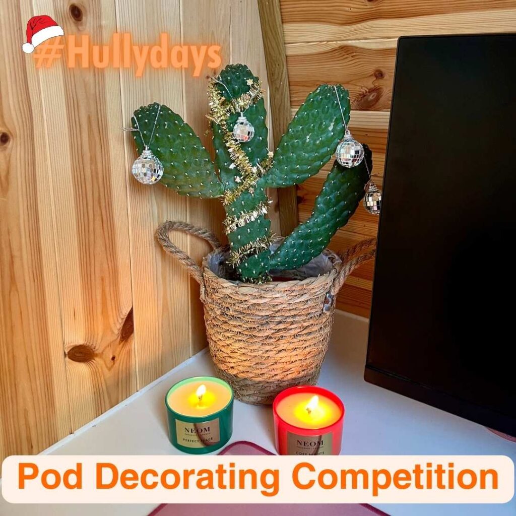 Join our Hullydays Garden Room Decoration Competition | Image: Cactus decorated for Christmas for Hully Pods