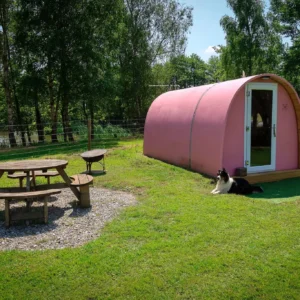 Glamping Pod in pink